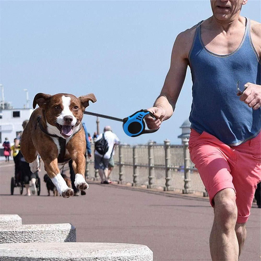 Dog & Cat Strap Leash (Multicolor)
