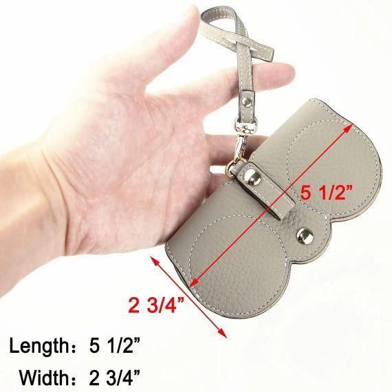 Eyewear Goggle Case/Pouch Pack of 02