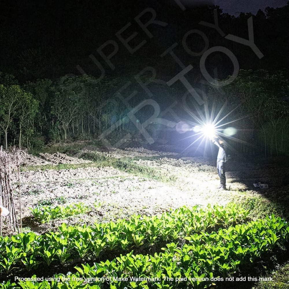 Torch LED Flashlight with Powerbank