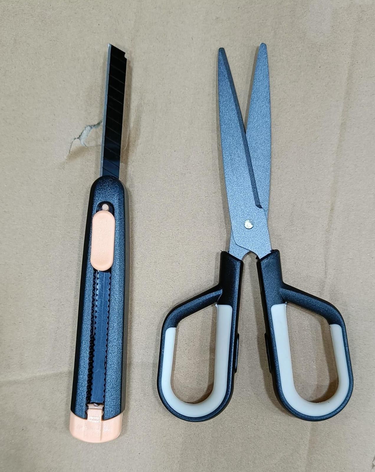 Stainless Steel Knife & Scissor (Pack of 2)